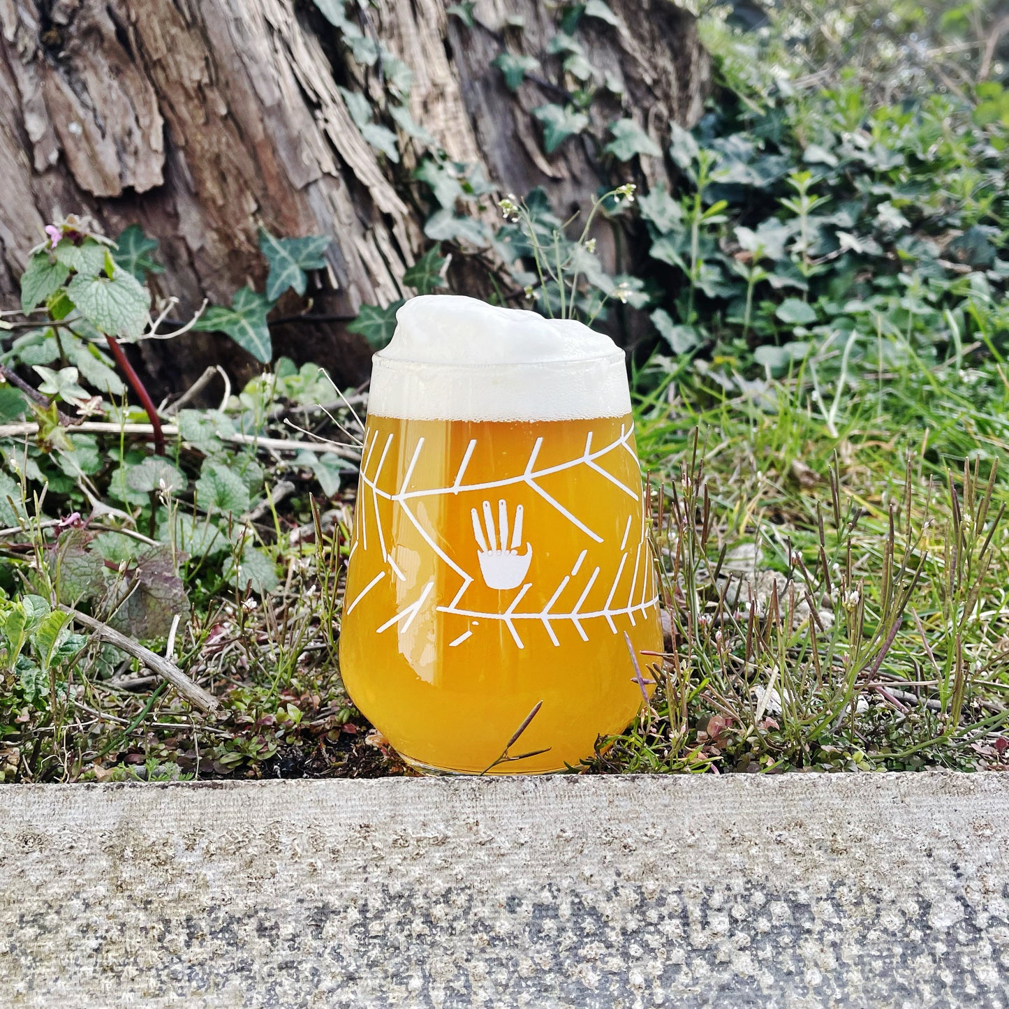 Hand Brew Co Schooner Glass